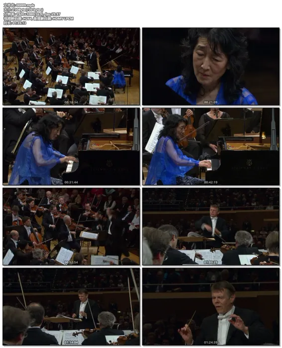 [BD欧美演唱会][百马里斯·杨松斯 指挥贝多芬和施特劳斯作品 Mariss Jansons Conducts Beethoven & Strauss 2011[BDMV][20.1G]度网盘]