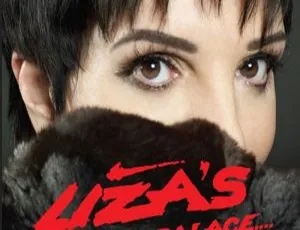 BD欧美演唱会：Liza Minnelli《Liza's at the Palace 2009》22.1G 百度网盘资源-小文资源网