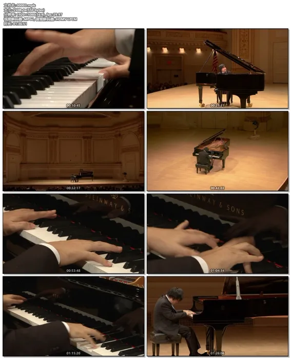 [BD欧美演唱会]辻井伸行 卡奈基音乐厅现象录音 Nobuyuki Tsujii Live At Carnegie Hall 2011 COMPLETE[BDMV][26G][百度网盘]