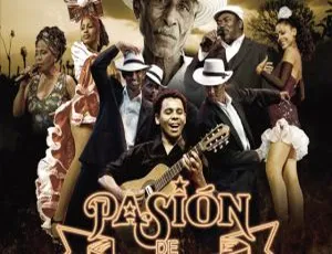 2010年BD欧美演唱会：Pasion de Buena Vista 高清资源 20.4G 百度网盘速存-小文资源网