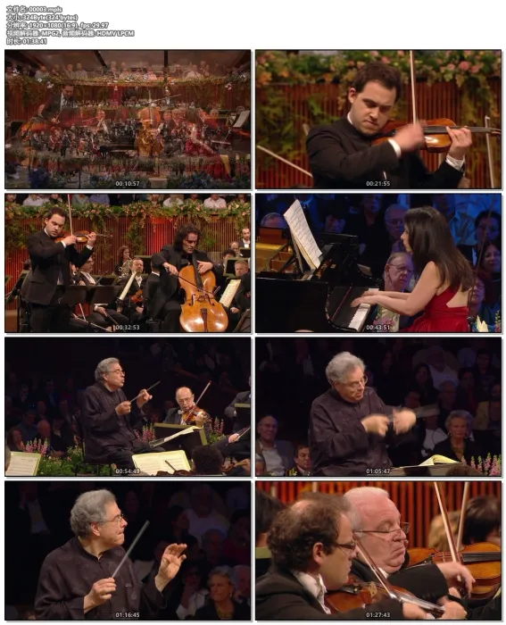 [BD欧美演唱会]贝多芬第六交响曲三重奏 Israel Philharmonic Orchestra [Itzhak Perlman] – Beethoven 2012[BDMV][19.7G][百度网盘]