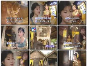 詹雅雯《酒中情 马来西亚之旅》KTV 音乐 DVD 专辑 3.37G 百度网盘资源