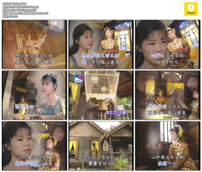 [DVD音乐专辑碟][詹雅雯 – 酒中情 马来西亚之旅][KTV][DVD-ISO][3.37G][百度网盘]
