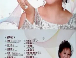 薛家燕钻石人生KARAOKE DVD音乐专辑碟 1.6G 百度网盘资源-小文资源网