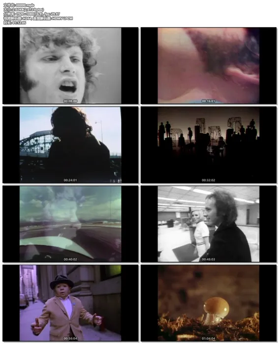 [BD欧美演唱会]音乐纪录片 The Doors：R-Evolution 2013[BDMV][31.97G][百度网盘]