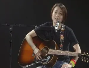 宇多田光2010日本暂别歌坛演唱会：WILD LIFE 超45G资源 百度网盘速存-小文资源网