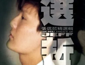 张信哲精选辑《选哲》DVD音乐专辑碟 4.19G 百度网盘资源-小文资源网