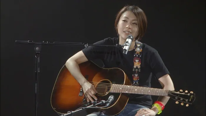 [DB日本演唱会][宇多田光 Utada Hikaru-WILD LIFE 2010 暂别歌坛演唱会][ISO][45.1G][百度网盘]