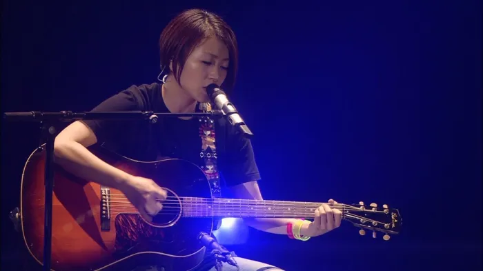 [DB日本演唱会][宇多田光 Utada Hikaru-WILD LIFE 2010 暂别歌坛演唱会][ISO][45.1G][百度网盘]