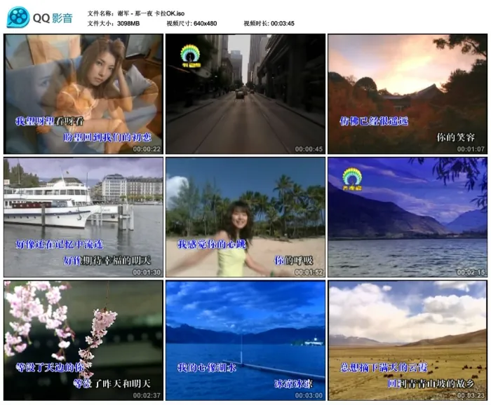 [DVD音乐专辑碟][谢军 – 那一夜 卡拉OK][DVD-ISO][3.03G][百度网盘]