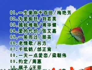 群星《百年好歌再回首》白金珍藏版 DVD 音乐专辑碟，KTV 必备 4.35G ISO 百度网盘资源-小文资源网