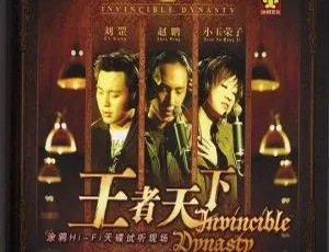 王者天下 HI-FI 天碟试听现场 DVD 音乐专辑 3.44G 百度网盘 ISO 资源-小文资源网
