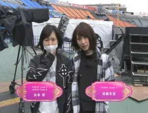 AKB48高桥南横浜体育场毕业演唱会DB日本场BDMV 6碟185G 百度网盘资源-小文资源网