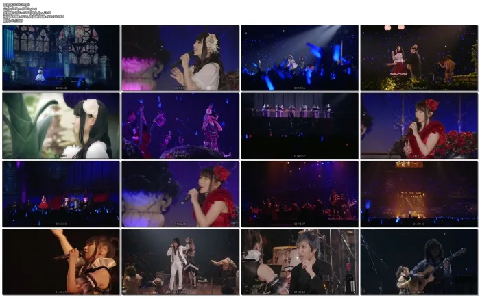 [DB日本演唱会][水树奈奈演唱会 NANA MIZUKI LIVE THEATER 2015 -ACOUSTIC][BDMV 双碟][82.2G][百度网盘]