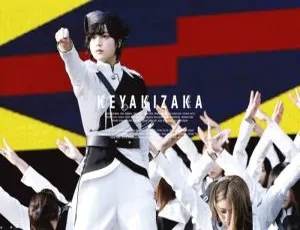 DB日本演唱会：Keyakizaka46 - Keyaki Kyouwakoku 2018 限量版双碟 47.49G 百度网盘资源