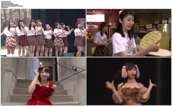 [DB日本演唱会][AKB48 Team8 现场蓝光合集AKB48 Team 8 Live Collection][ISO 10碟][295G][百度网盘]