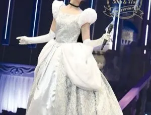 南野阳子2017年30 & 31周年BD日本演唱会 39GB高清资源（百度网盘）