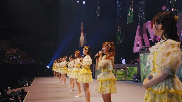 [BD日本演唱会][=LOVE 4th ANNIVERSARY PREMIUM CONCERT 2022][BDISO][33.8GB][百度网盘]