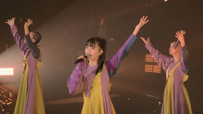 [DB日本演唱会][BiSH – TO THE END TO THE END 2018][BDISO][34.6GB][百度网盘]