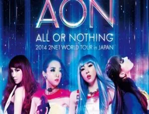 2014 2NE1日本演唱会BD资源 40.2GB 百度网盘下载：ALL OR NOTHING-小文资源网