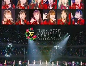 Tsubaki-factory 2021日本武道馆超燃演唱会BD资源 41.4GB 百度网盘速存