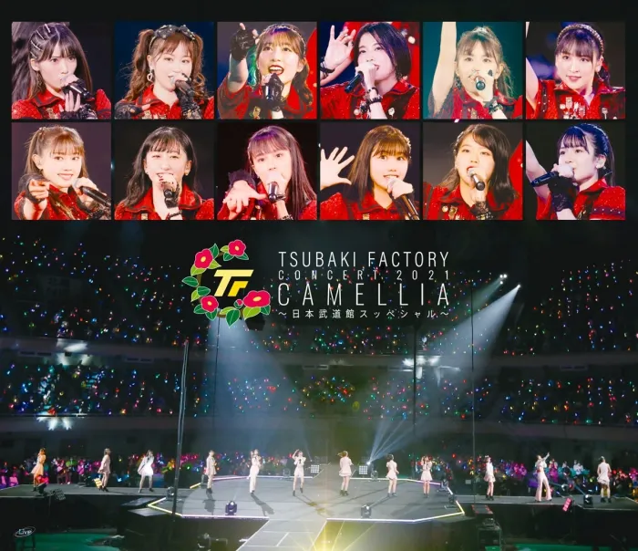 [BD日本演唱会][Tsubaki-factory Concert 2021-Camellia – Nippon Budokan Special][BDISO][41.4GB][百度网盘]