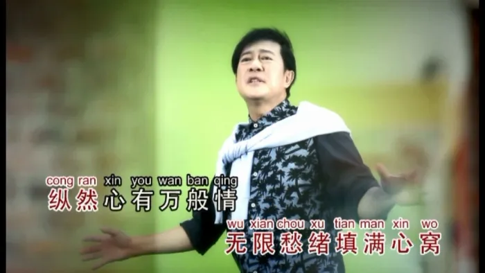 [DVD音乐专辑碟][罗宾38 – 有你有我][DVD ISO][2.76G][百度网盘]