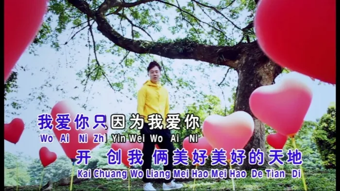 [DVD音乐专辑碟][侯俊辉 鸳鸯一场 卡拉OK][DVDISO][3.11GB][百度网盘]