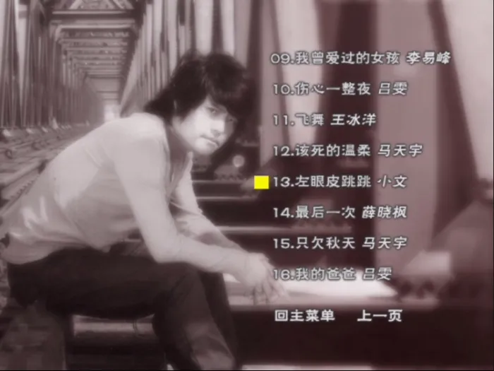 [DVD音乐专辑碟][群星 – 斯琴高丽的伤心 MV精选(金信子)][DVD-ISO][3.73G][百度网盘]