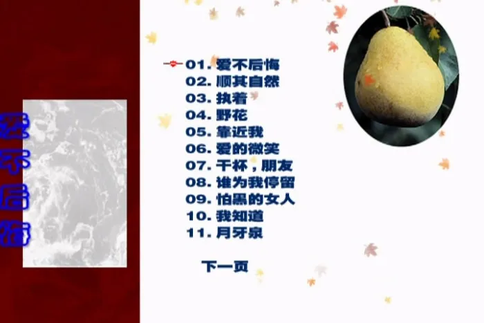 [DVD音乐专辑碟][田震 – 爱不后悔 KTV][DVD ISO][3.97G][百度网盘]
