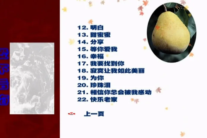 [DVD音乐专辑碟][田震 – 爱不后悔 KTV][DVD ISO][3.97G][百度网盘]