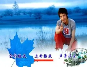 大陆男声精选：群星一人一首 DVD 音乐专辑碟 1（D9 KTV DTS 版）7.39G 百度网盘资源