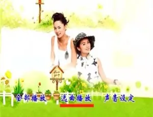 《群星一人一首港台女声精选碟2 D9 KTV版DVD音乐专辑，7.07G百度网盘资源》