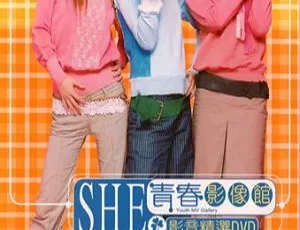 S.H.E青春影音馆2002原版Karaoke DVD音乐专辑碟 4.09G 百度网盘资源