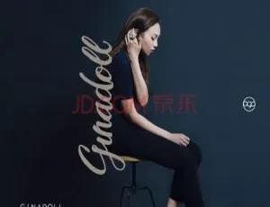 江海迦同名专辑 DVD 音乐专辑碟 1.15G 百度网盘资源