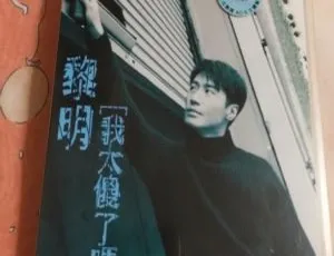 黎明《我太傻了吗？》卡拉OK DVD音乐专辑碟 4.21G 百度网盘资源-小文资源网