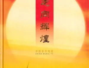 群星《中国音乐电视 走向辉煌》KTV 必备 DVD 音乐专辑碟 4.10G 百度网盘资源