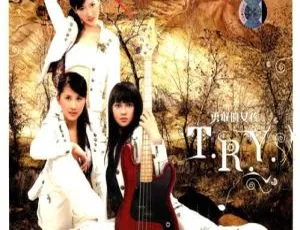 T.R.Y《勇敢的女孩》MV音乐专辑DVD碟 507M 百度网盘资源-小文资源网