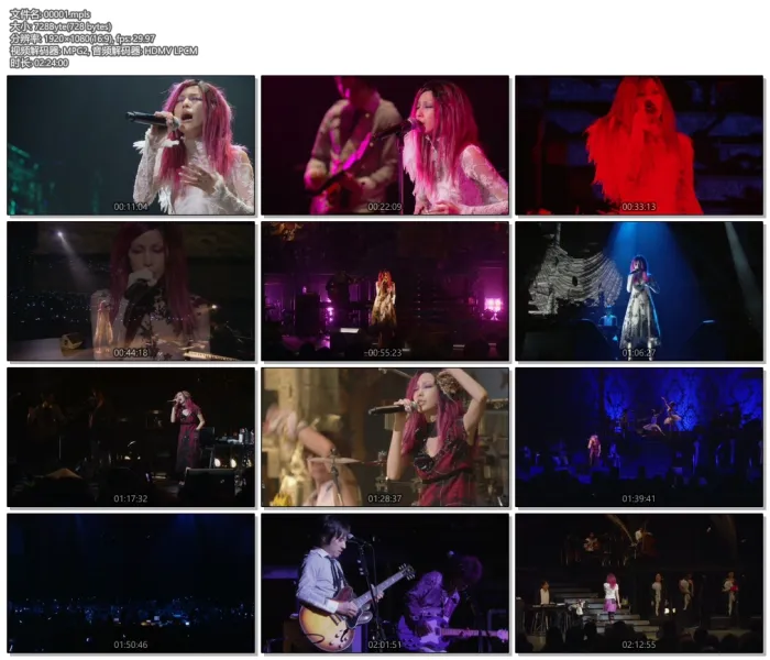[DB日本演唱会][中岛美嘉2007演唱会 MIKA NAKASHIMA CONCERT TOUR 2007 YES MY JOY][ISO][42.71G][百度网盘]