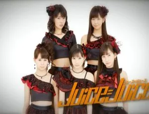 DB日本演唱会：早安家族Hina Fes 2014，早安少女组14精彩呈现 64.2G百度网盘BDMV 2BD资源-小文资源网