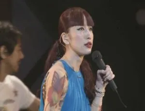 中岛美嘉 2009 日本巡回演唱会 DB 版 39.5G 百度网盘 ISO 资源-小文资源网