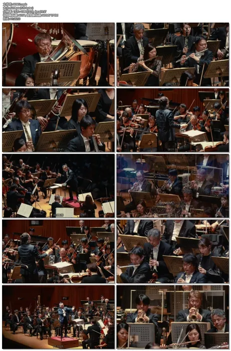 [DB日本演唱会][命运 冠位指定 东京都交响楽団 2019现场音乐会][BDMV][24G][百度网盘]