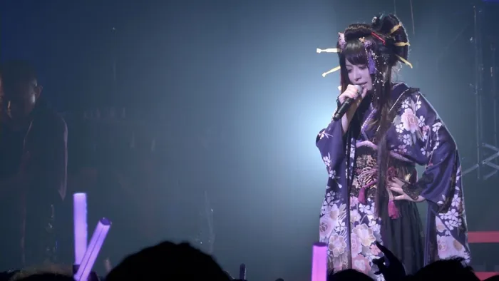 [DB日本演唱会][和乐器乐队-ボカロ三昧大 2014演奏会 Wagakki Band – Vocalo Zanmai][ISO][32.6G][百度网盘]
