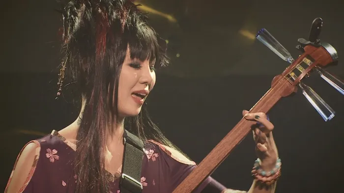 [DB日本演唱会][和乐器乐队-ボカロ三昧大 2014演奏会 Wagakki Band – Vocalo Zanmai][ISO][32.6G][百度网盘]