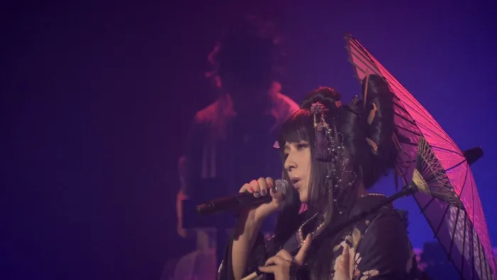 [DB日本演唱会][和乐器乐队-ボカロ三昧大 2014演奏会 Wagakki Band – Vocalo Zanmai][ISO][32.6G][百度网盘]