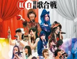 DB日本演唱会：AKB48红白歌会 简中第二场 1080i DIY中字 41.5G 百度网盘资源