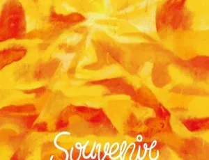 DB日本演唱会：BUMP OF CHICKEN – SOUVENIR 付属BD 2023（9.67GB）百度网盘资源