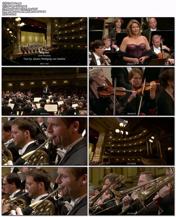 [BD欧美演唱会]Renée Fleming, Dresden Staatskapelle, Christian Thielemann – Anton Bruckner Symphony No. 7 & Hugo Wolf Lieder 2012[BDMV][21.4GB][百度网盘]