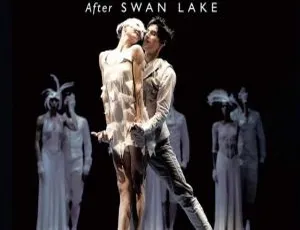 BD 欧美演唱会：现代版柴可夫斯基《天鹅湖》LAC 2014 高清资源（22.7GB 百度网盘）