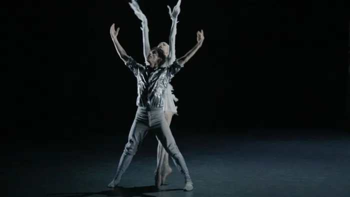[BD欧美演唱会]柴可夫斯基 芭蕾舞剧天鹅湖 现代版 LAC 2014 Tchaikovsky Swan Lake LAC 2014[BDMV][22.7GB][百度网盘]
